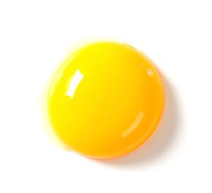 Raw egg yolk