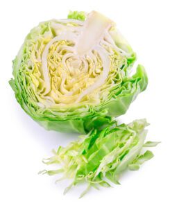 shredded cabbage