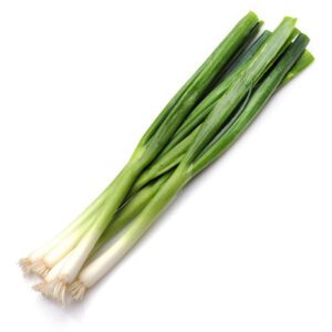 green onion stalk