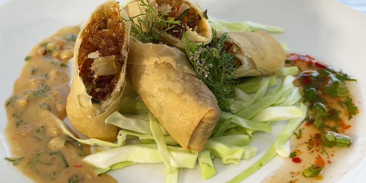 vegetarian egg roll plating