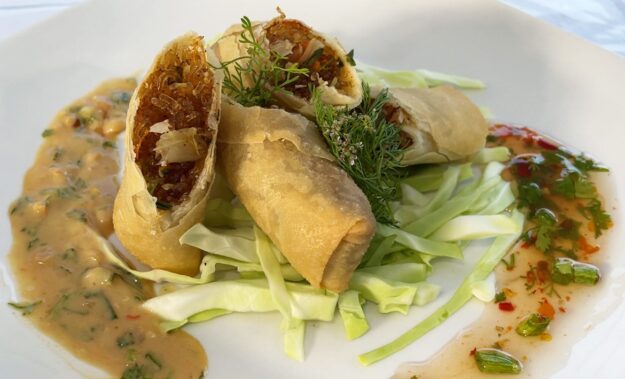vegetarian egg roll plating